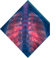 Respiratory care guidelines